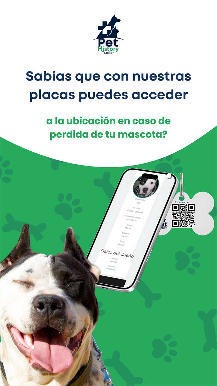 foto ofreciendo nuestras placas QR en caso de que tu mascota se pierda